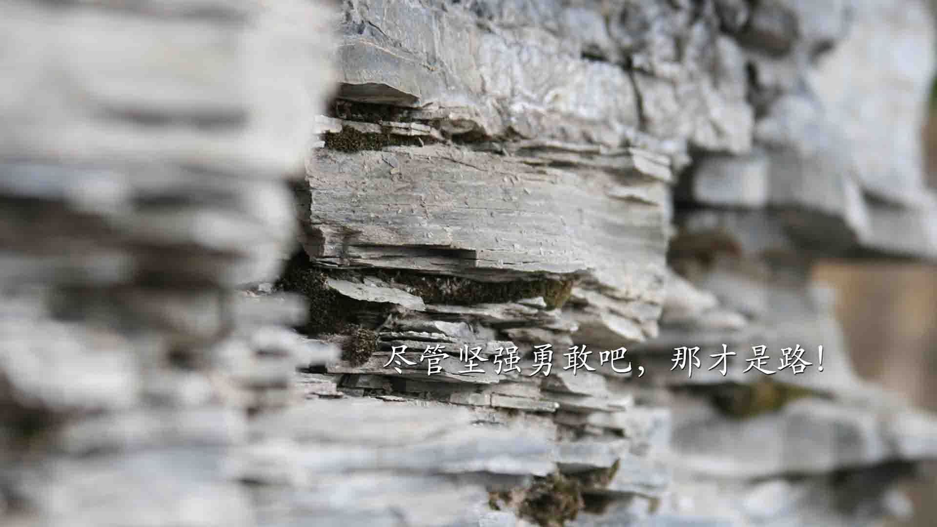 “未来之星：青少年足球排行榜公布，激励少年奋进”，未来少儿足球俱乐部