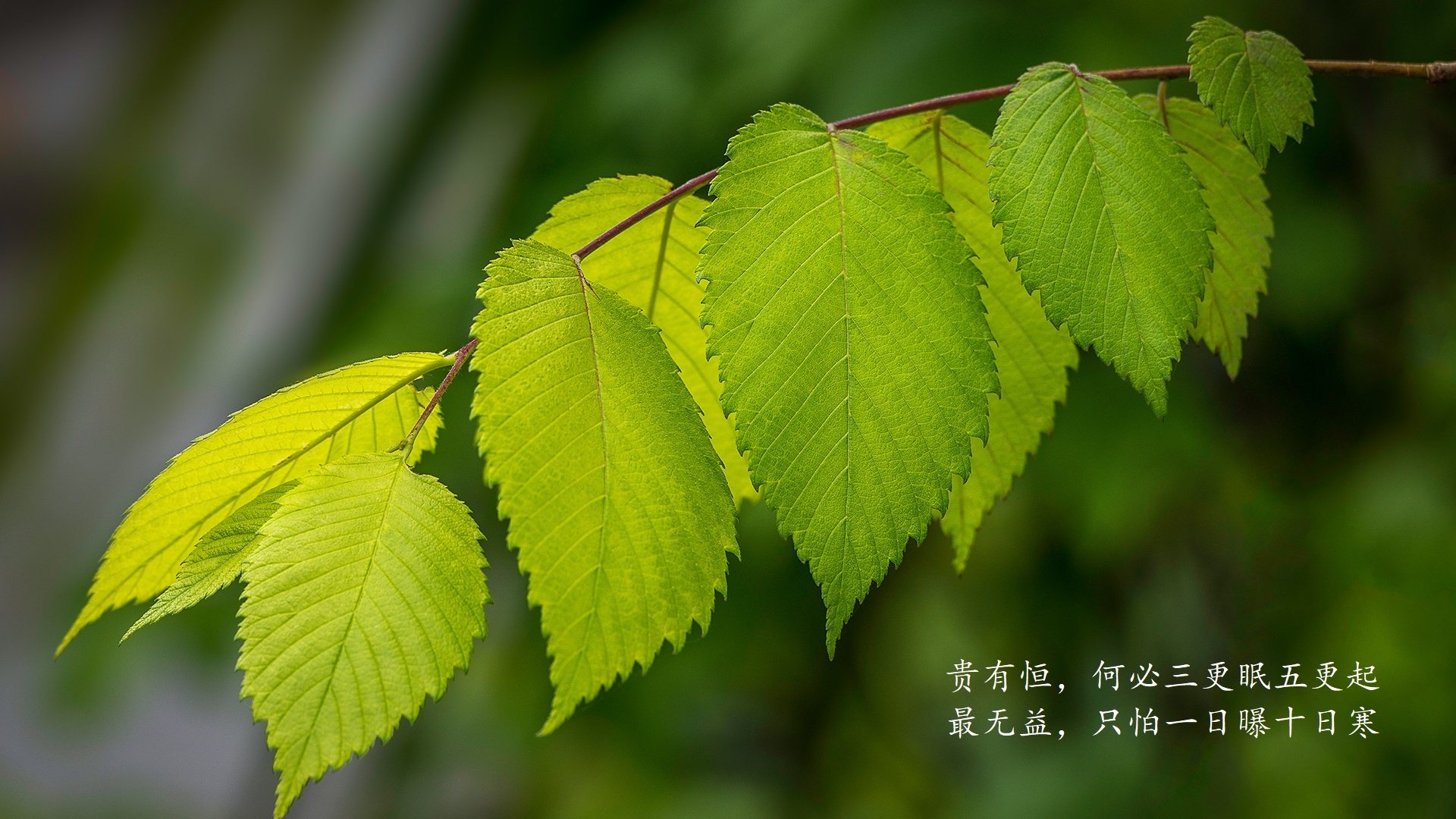 开云体育APP下载-LPL夏季赛关键对决前瞻，lpl夏季赛季后赛决赛时间