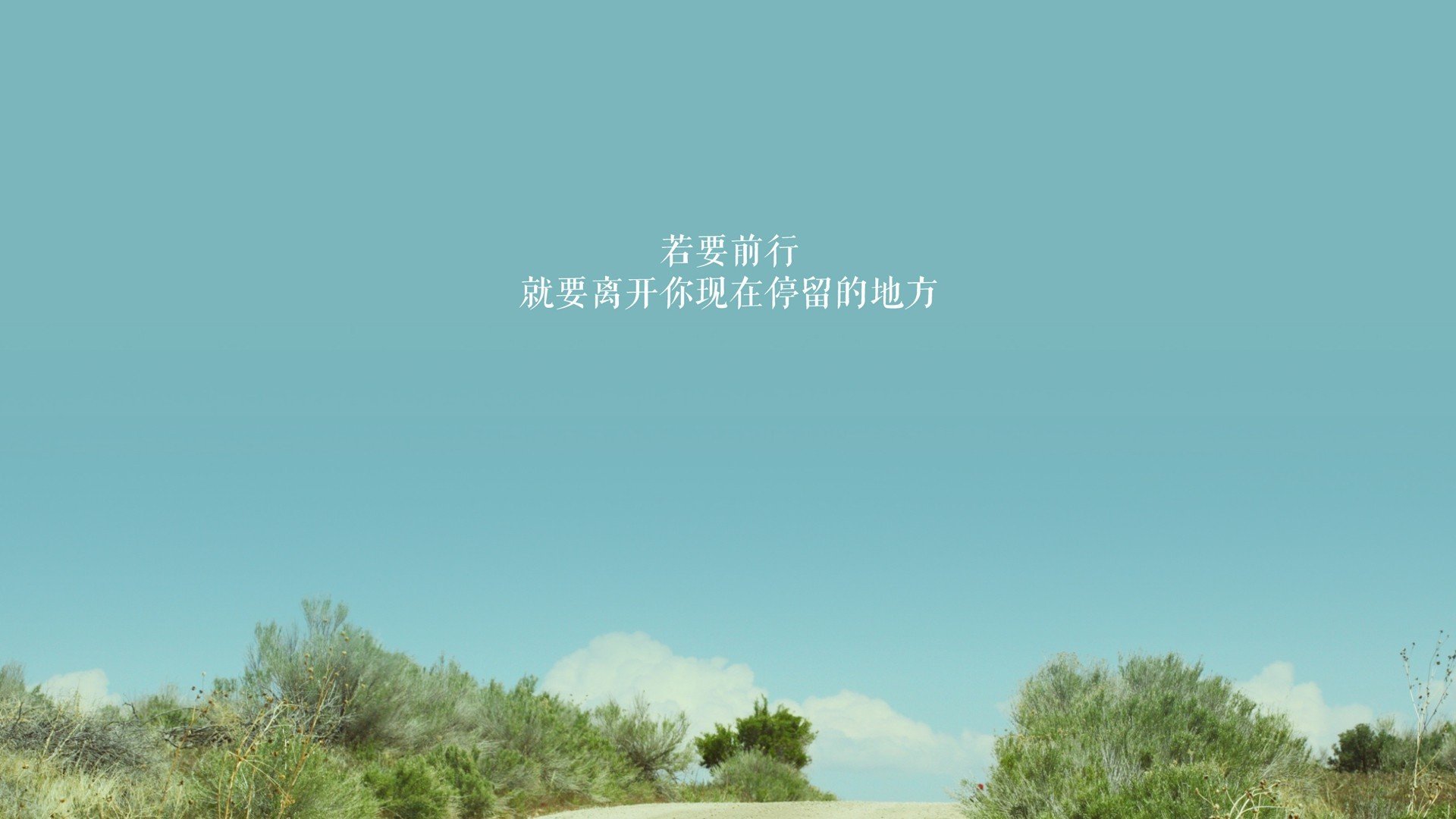 本菲卡防线挑战波尔图锋线，本菲卡ds